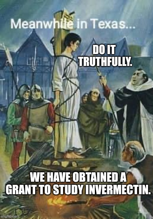 what happens when we doubt the veracity of your institutions? | DO IT 
TRUTHFULLY. WE HAVE OBTAINED A GRANT TO STUDY INVERMECTIN. | image tagged in meanwhile in texas | made w/ Imgflip meme maker