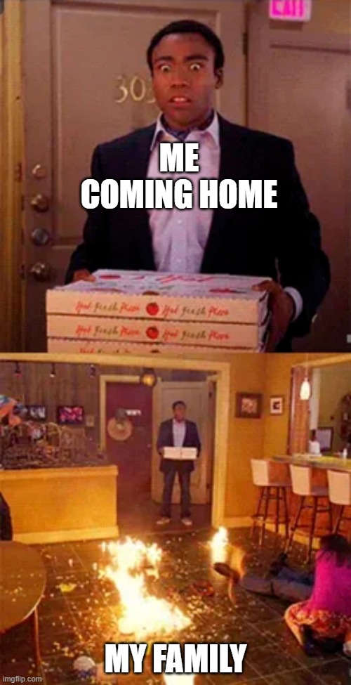 my family | ME COMING HOME; MY FAMILY | image tagged in two-panel man walks into burning room | made w/ Imgflip meme maker