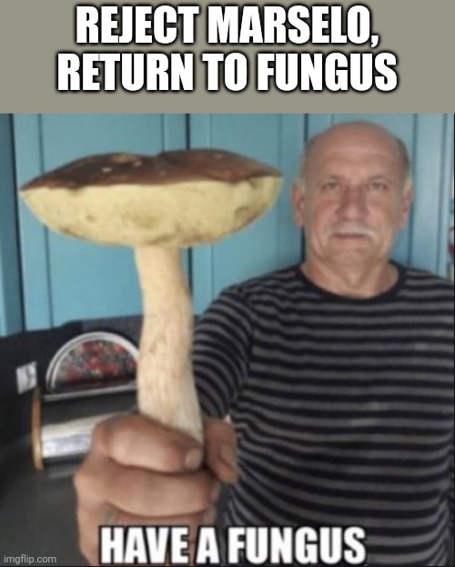 have a fungus | REJECT MARSELO, RETURN TO FUNGUS | image tagged in have a fungus | made w/ Imgflip meme maker