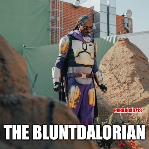 No...no...no...and HELL NO!  We are not doing this!  LoL! | THE BLUNTDALORIAN; PARADOX3713 | image tagged in memes,funny,star wars,the mandalorian,snoop dogg,funny memes | made w/ Imgflip meme maker