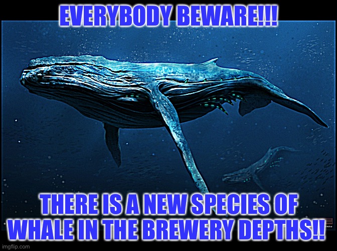 Brewing a whale at a bartender | EVERYBODY BEWARE!!! THERE IS A NEW SPECIES OF WHALE IN THE BREWERY DEPTHS!! | image tagged in whale,species,bartender,blue,new,davy jones | made w/ Imgflip meme maker