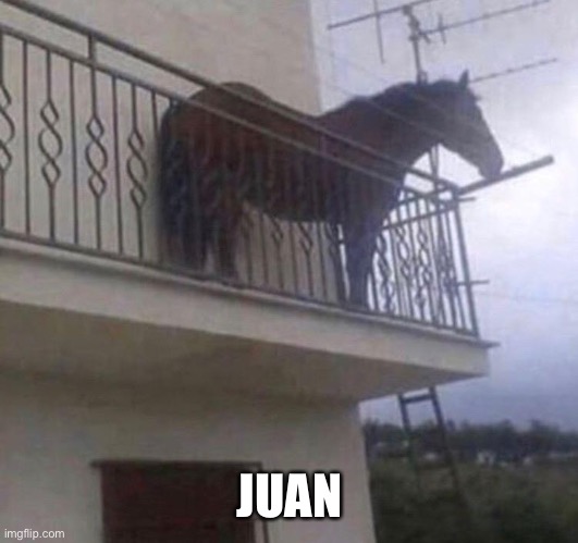 Juan | JUAN | image tagged in juan | made w/ Imgflip meme maker