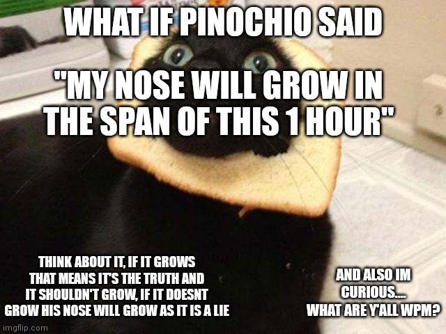 hMmMm *brain expands and deflates* also what are y'all wpm? | WHAT IF PINOCHIO SAID; "MY NOSE WILL GROW IN THE SPAN OF THIS 1 HOUR"; THINK ABOUT IT, IF IT GROWS THAT MEANS IT'S THE TRUTH AND IT SHOULDN'T GROW, IF IT DOESNT GROW HIS NOSE WILL GROW AS IT IS A LIE; AND ALSO IM CURIOUS.... WHAT ARE Y'ALL WPM? | image tagged in cat,bread,curious | made w/ Imgflip meme maker