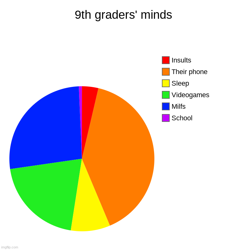 9th graders' minds | School, Milfs, Videogames, Sleep, Their phone, Insults | image tagged in charts,pie charts | made w/ Imgflip chart maker