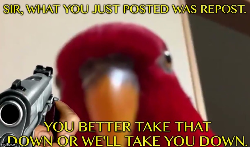 Too many repost on the front page right now | image tagged in sir what you just posted was repost | made w/ Imgflip meme maker