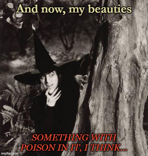 Wicked Witch |  And now, my beauties; SOMETHING WITH POISON IN IT, I THINK... | image tagged in miss gulch,wicked witch of the west,wicked witch | made w/ Imgflip meme maker