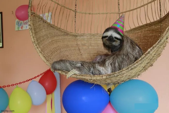 Sloth Hammock Birthday | image tagged in sloth hammock birthday | made w/ Imgflip meme maker