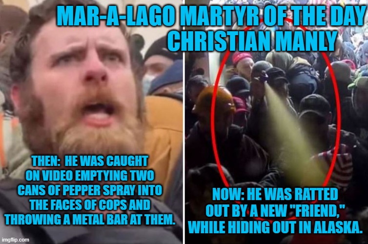 He  fought, "like hell," like the Tangerine Tyrant told him to. | MAR-A-LAGO MARTYR OF THE DAY
                   CHRISTIAN MANLY; THEN:  HE WAS CAUGHT ON VIDEO EMPTYING TWO CANS OF PEPPER SPRAY INTO THE FACES OF COPS AND THROWING A METAL BAR AT THEM. NOW: HE WAS RATTED OUT BY A NEW "FRIEND," WHILE HIDING OUT IN ALASKA. | image tagged in politics | made w/ Imgflip meme maker
