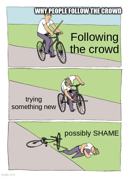 Why does this happen to people ;-; |  WHY PEOPLE FOLLOW THE CROWD; Following the crowd; trying something new; possibly SHAME | image tagged in memes,bike fall,people,life,crowd | made w/ Imgflip meme maker