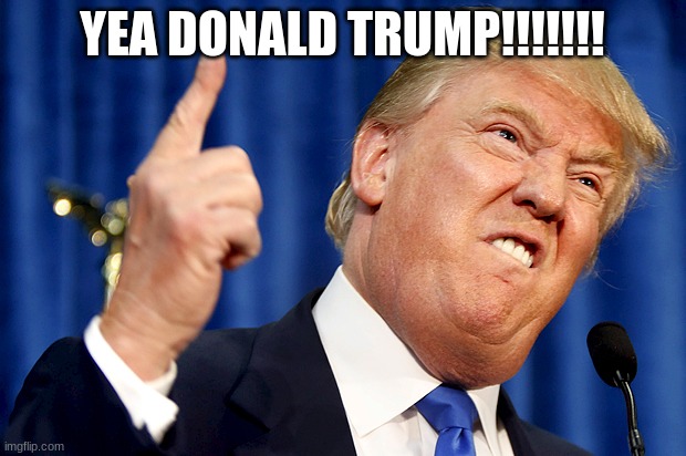 Donald Trump | YEA DONALD TRUMP!!!!!!! | image tagged in donald trump | made w/ Imgflip meme maker