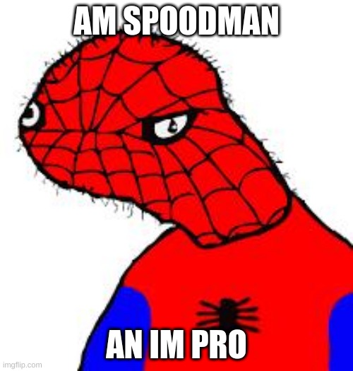 Spooderman | AM SPOODMAN; AN IM PRO | image tagged in spooderman | made w/ Imgflip meme maker