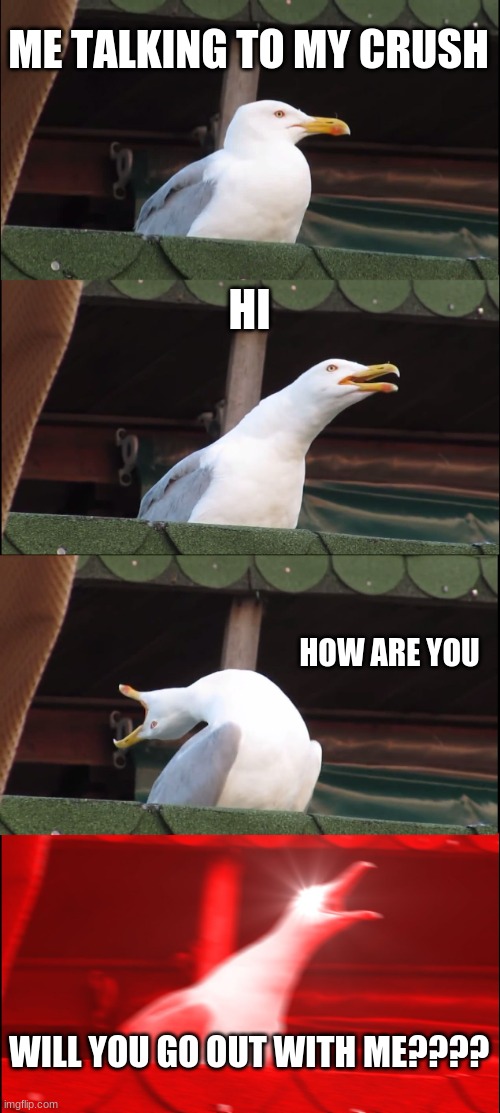 Inhaling Seagull | ME TALKING TO MY CRUSH; HI; HOW ARE YOU; WILL YOU GO OUT WITH ME???? | image tagged in memes,inhaling seagull | made w/ Imgflip meme maker