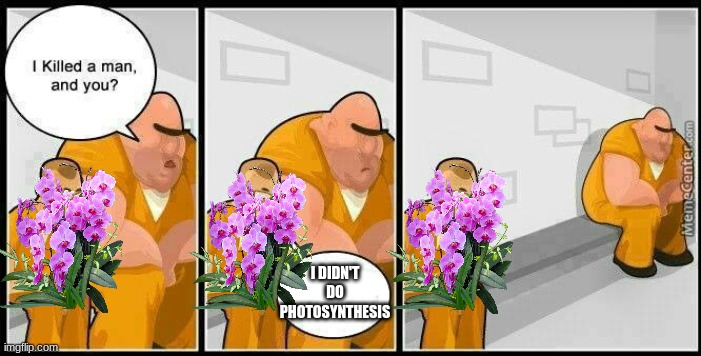 prisoners blank | I DIDN'T DO PHOTOSYNTHESIS | image tagged in prisoners blank | made w/ Imgflip meme maker