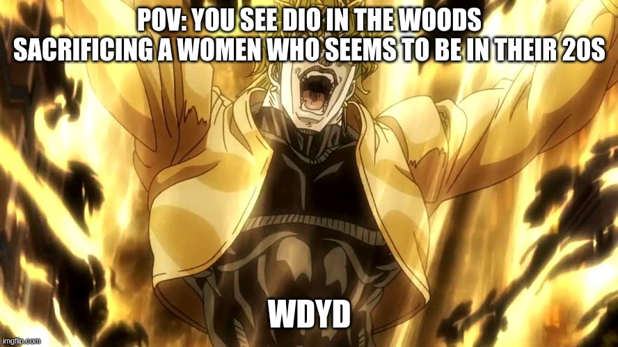 Za Warudo |  POV: YOU SEE DIO IN THE WOODS SACRIFICING A WOMEN WHO SEEMS TO BE IN THEIR 20S; WDYD | image tagged in za warudo,jojo | made w/ Imgflip meme maker