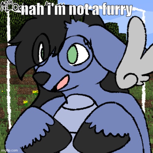 fursona thing | nah i'm not a furry | image tagged in fursona thing | made w/ Imgflip meme maker