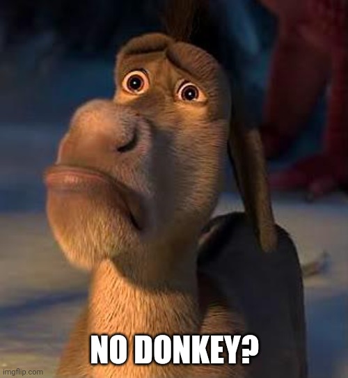 sad donkey | NO DONKEY? | image tagged in sad donkey | made w/ Imgflip meme maker