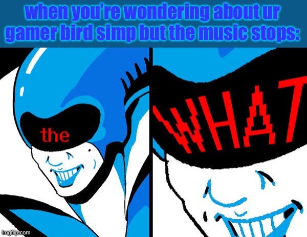 the what | when you’re wondering about ur gamer bird simp but the music stops: | image tagged in queen the what | made w/ Imgflip meme maker