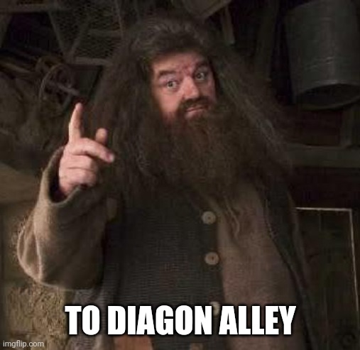 hagrid  | TO DIAGON ALLEY | image tagged in hagrid | made w/ Imgflip meme maker