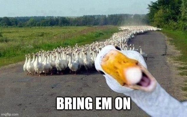 GOOSE | BRING EM ON | image tagged in goose | made w/ Imgflip meme maker