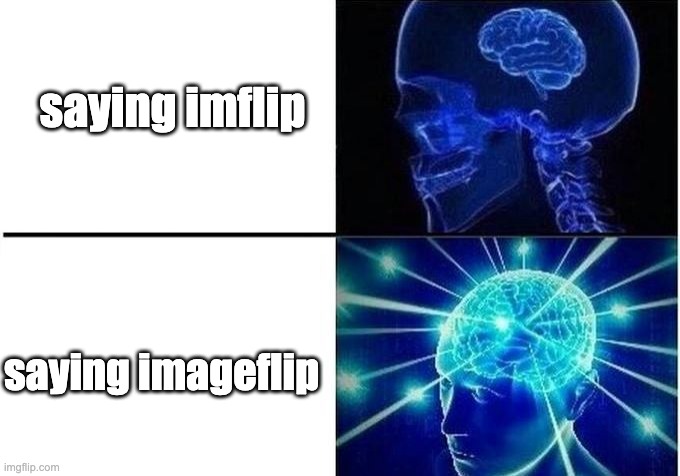 my first meme on this website | saying imflip; saying imageflip | image tagged in expanding brain two frames | made w/ Imgflip meme maker