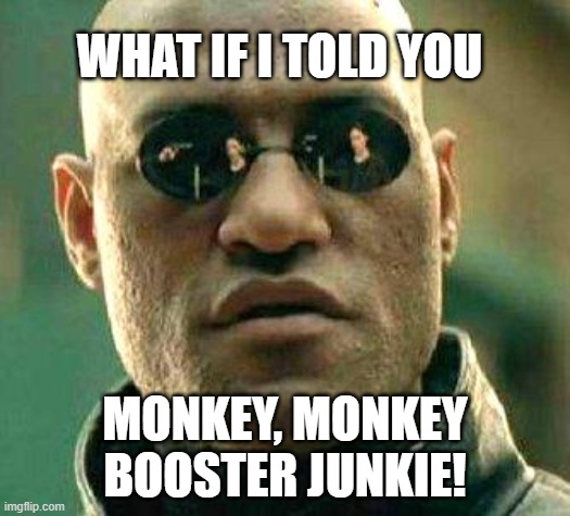 What if i told you | WHAT IF I TOLD YOU; MONKEY, MONKEY BOOSTER JUNKIE! | image tagged in what if i told you | made w/ Imgflip meme maker