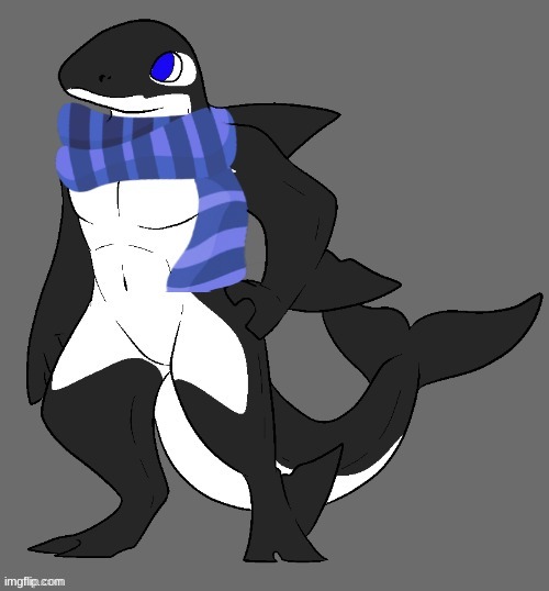 look at my orca oc! (credit to Kendle_The_Spooky_Protogen, base by samalab) | made w/ Imgflip meme maker