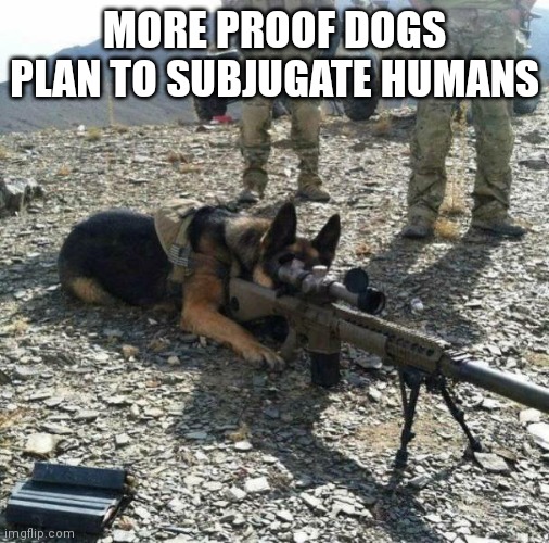 Bad doggie! Bad! Bad! | MORE PROOF DOGS PLAN TO SUBJUGATE HUMANS | image tagged in military dog with gun tripod,ah yes enslaved | made w/ Imgflip meme maker