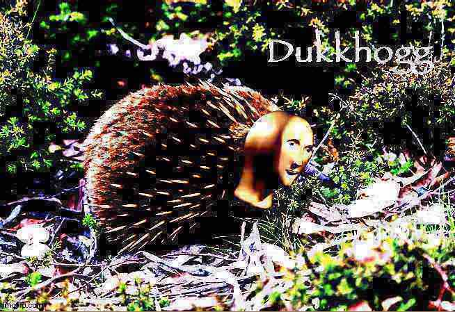 Meme man echidna deep-fried Blank Meme Template