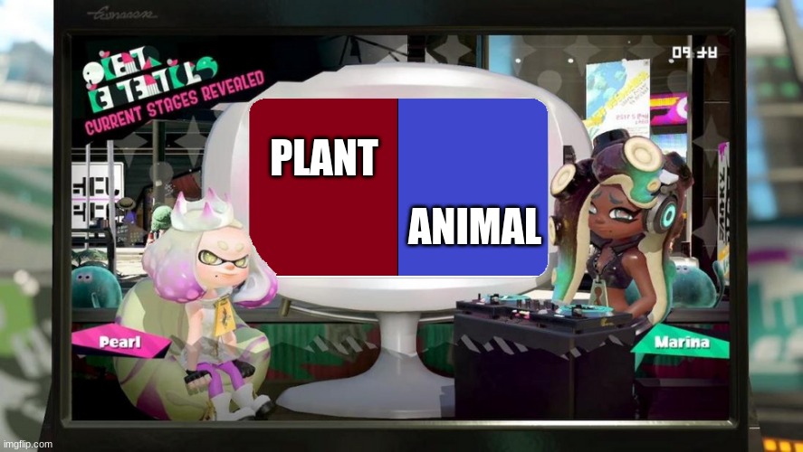 Splatfest Template | PLANT; ANIMAL | image tagged in splatfest template | made w/ Imgflip meme maker