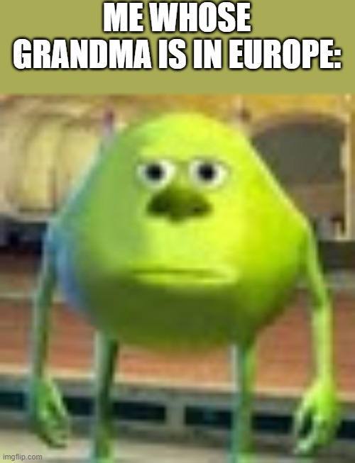 Sully Wazowski | ME WHOSE GRANDMA IS IN EUROPE: | image tagged in sully wazowski | made w/ Imgflip meme maker