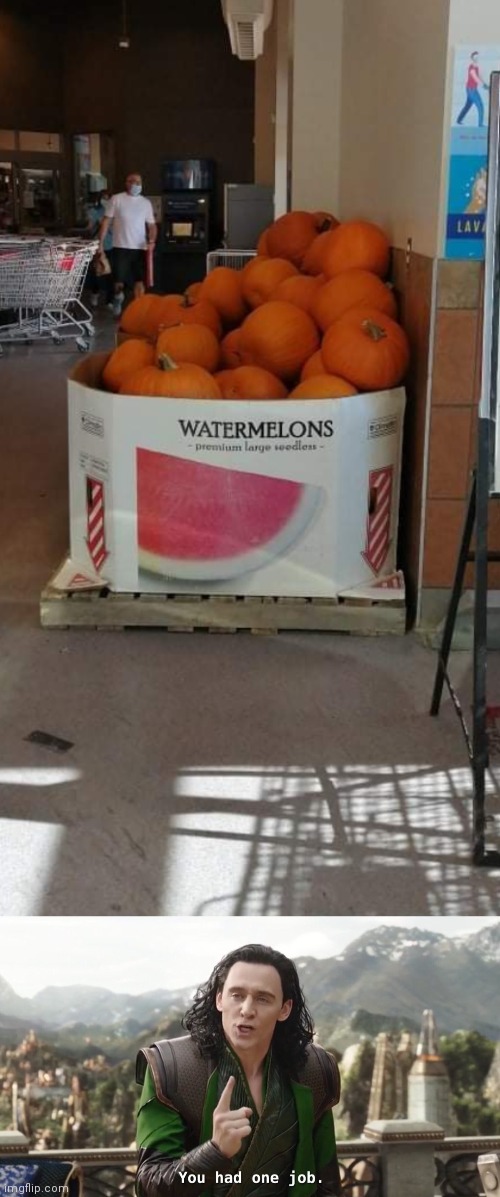 Waterpumpkins | image tagged in you had one job just the one,funny,funny memes,funny meme,brimmuthafukinstone | made w/ Imgflip meme maker