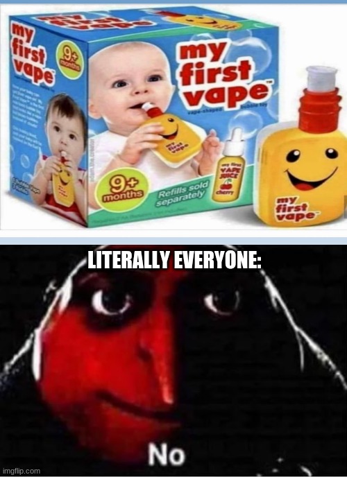 Really? | LITERALLY EVERYONE: | image tagged in gru no,vape,toy | made w/ Imgflip meme maker