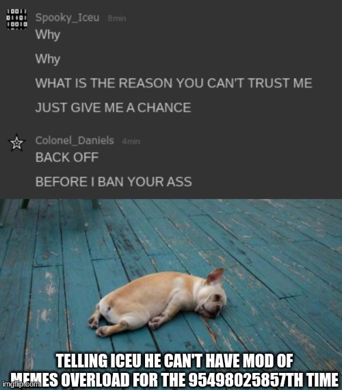 TELLING ICEU HE CAN'T HAVE MOD OF MEMES OVERLOAD FOR THE 95498025857TH TIME | image tagged in tired dog | made w/ Imgflip meme maker