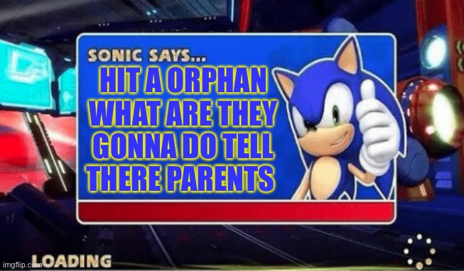 I can agree | HIT A ORPHAN WHAT ARE THEY GONNA DO TELL THERE PARENTS | image tagged in sonic says,sonic the hedgehog,edgy,dank memes | made w/ Imgflip meme maker