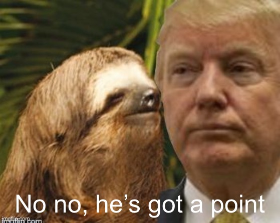 Political advice sloth | No no, he’s got a point | image tagged in political advice sloth | made w/ Imgflip meme maker