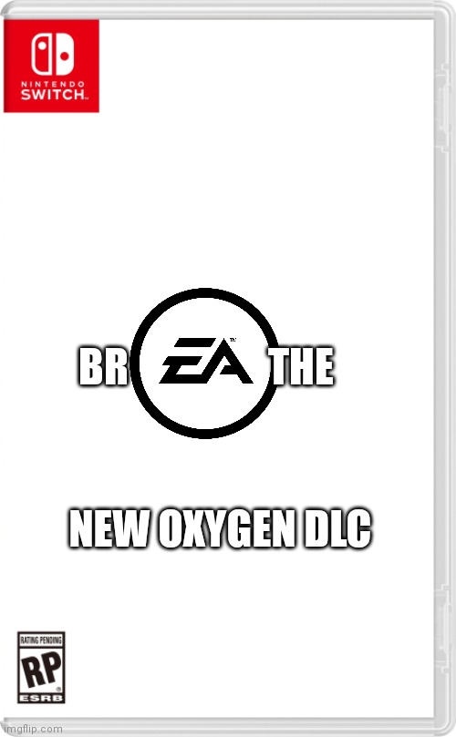Nintendo Switch Cartridge Case | BR                 THE; NEW OXYGEN DLC | image tagged in nintendo switch cartridge case | made w/ Imgflip meme maker
