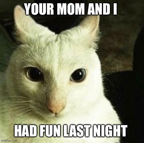 :/ | YOUR MOM AND I; HAD FUN LAST NIGHT | image tagged in funny | made w/ Imgflip meme maker