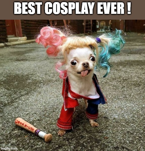 BEST COSPLAY EVER ! | made w/ Imgflip meme maker