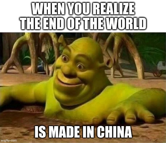 shrek | WHEN YOU REALIZE THE END OF THE WORLD; IS MADE IN CHINA | image tagged in shrek | made w/ Imgflip meme maker