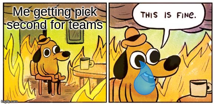 This Is Fine | Me getting pick second for teams | image tagged in memes,this is fine | made w/ Imgflip meme maker