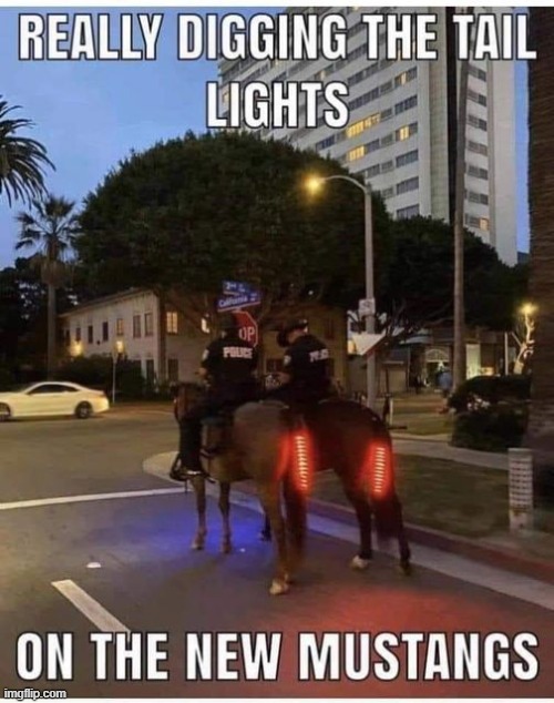 mustang tail lights | image tagged in retail,lights | made w/ Imgflip meme maker