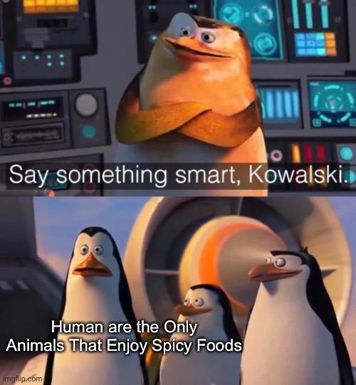 That’s true | Human are the Only Animals That Enjoy Spicy Foods | image tagged in say something smart kowalski,meat,madagascar,dank memes | made w/ Imgflip meme maker