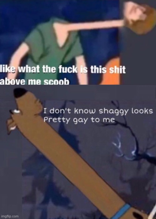 image tagged in like what the f ck is this sh t above me scoob,i don't know shaggy looks pretty gay to me | made w/ Imgflip meme maker
