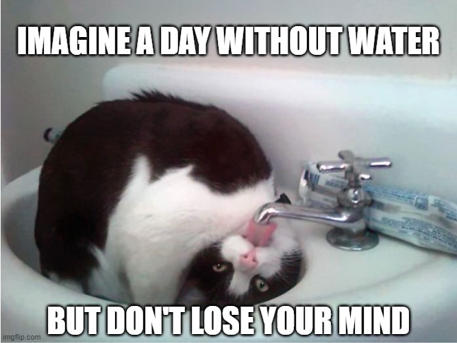 Imagine A Day Without Water 2021 | IMAGINE A DAY WITHOUT WATER; BUT DON'T LOSE YOUR MIND | image tagged in thirsty boi,water | made w/ Imgflip meme maker