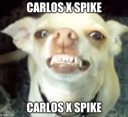 Good Boi Smiling | CARLOS X SPIKE CARLOS X SPIKE | image tagged in good boi smiling | made w/ Imgflip meme maker