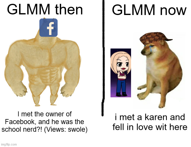 GLMM now vs then | GLMM then; GLMM now; I met the owner of Facebook, and he was the school nerd?! (Views: swole); i met a karen and fell in love wit here | image tagged in memes,buff doge vs cheems | made w/ Imgflip meme maker