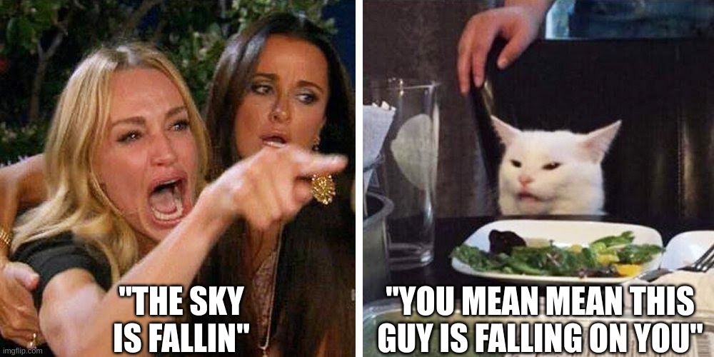 Chick-en little | "THE SKY IS FALLIN"; "YOU MEAN MEAN THIS GUY IS FALLING ON YOU" | image tagged in smudge the cat | made w/ Imgflip meme maker
