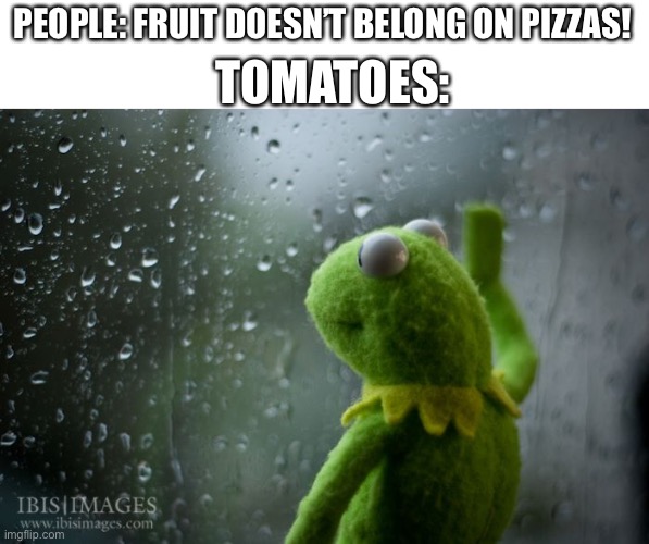 *Sad tomato noises* | TOMATOES:; PEOPLE: FRUIT DOESN’T BELONG ON PIZZAS! | image tagged in kermit window | made w/ Imgflip meme maker