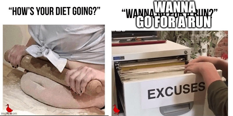 LAMOOOOOOOOOO XD  XD XD | WANNA GO FOR A RUN | image tagged in workout excuses | made w/ Imgflip meme maker