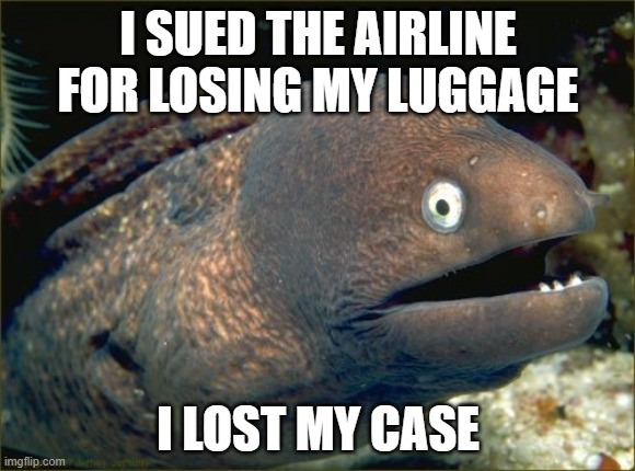 Bad Joke Eel | I SUED THE AIRLINE FOR LOSING MY LUGGAGE; I LOST MY CASE | image tagged in memes,bad joke eel | made w/ Imgflip meme maker